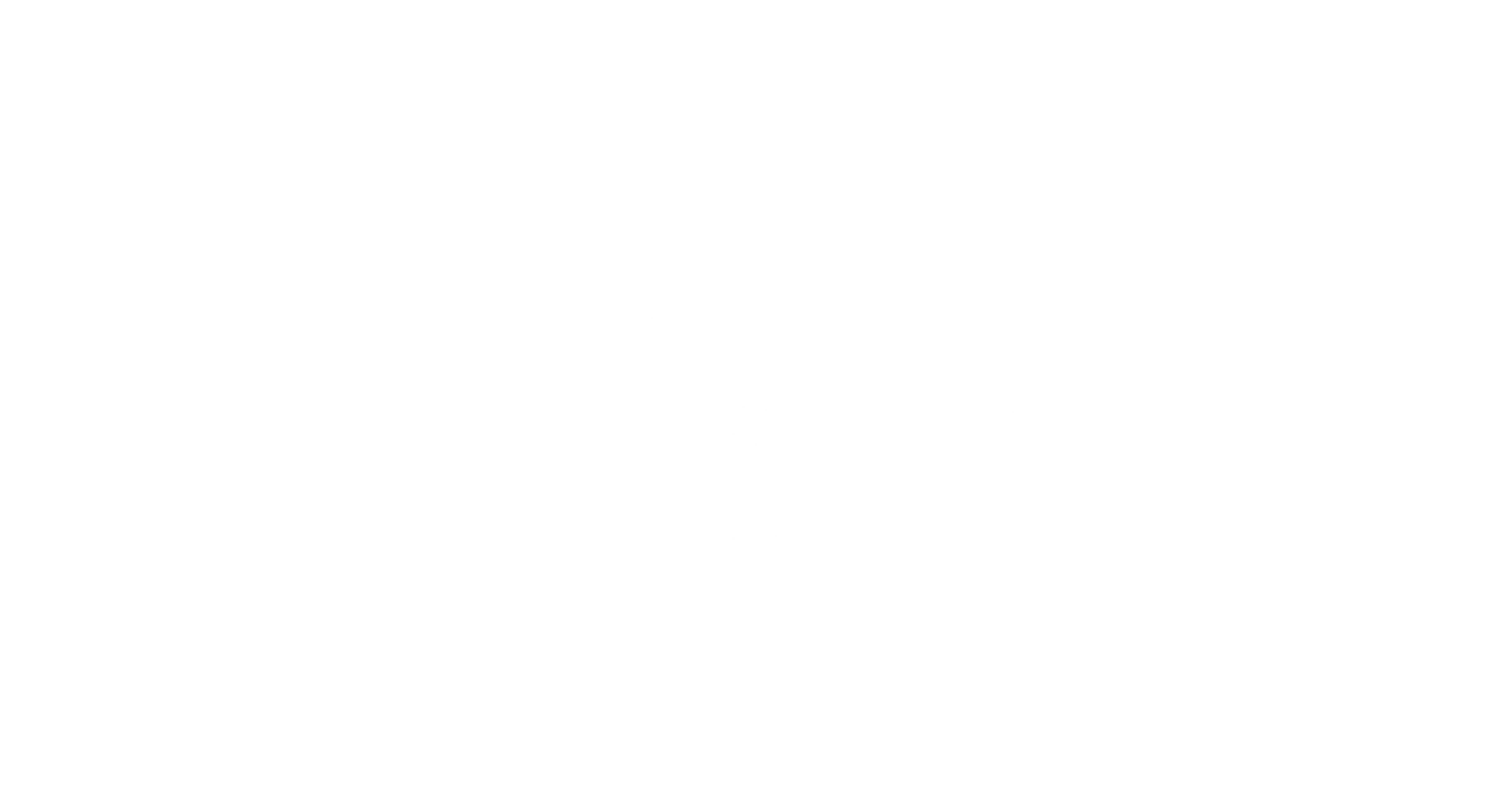 Angel Investment