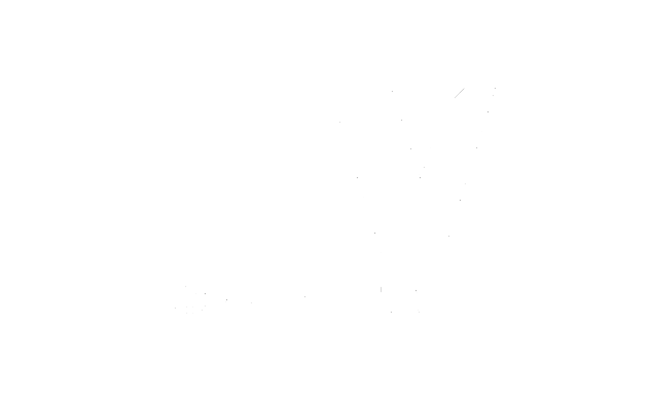 HV Capital 2