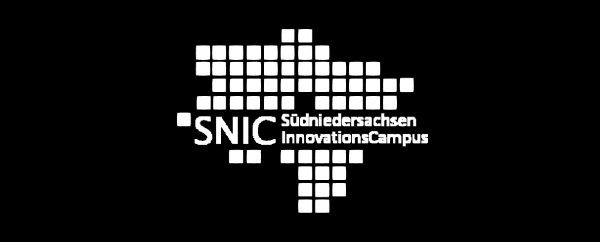NetworkP SNIC