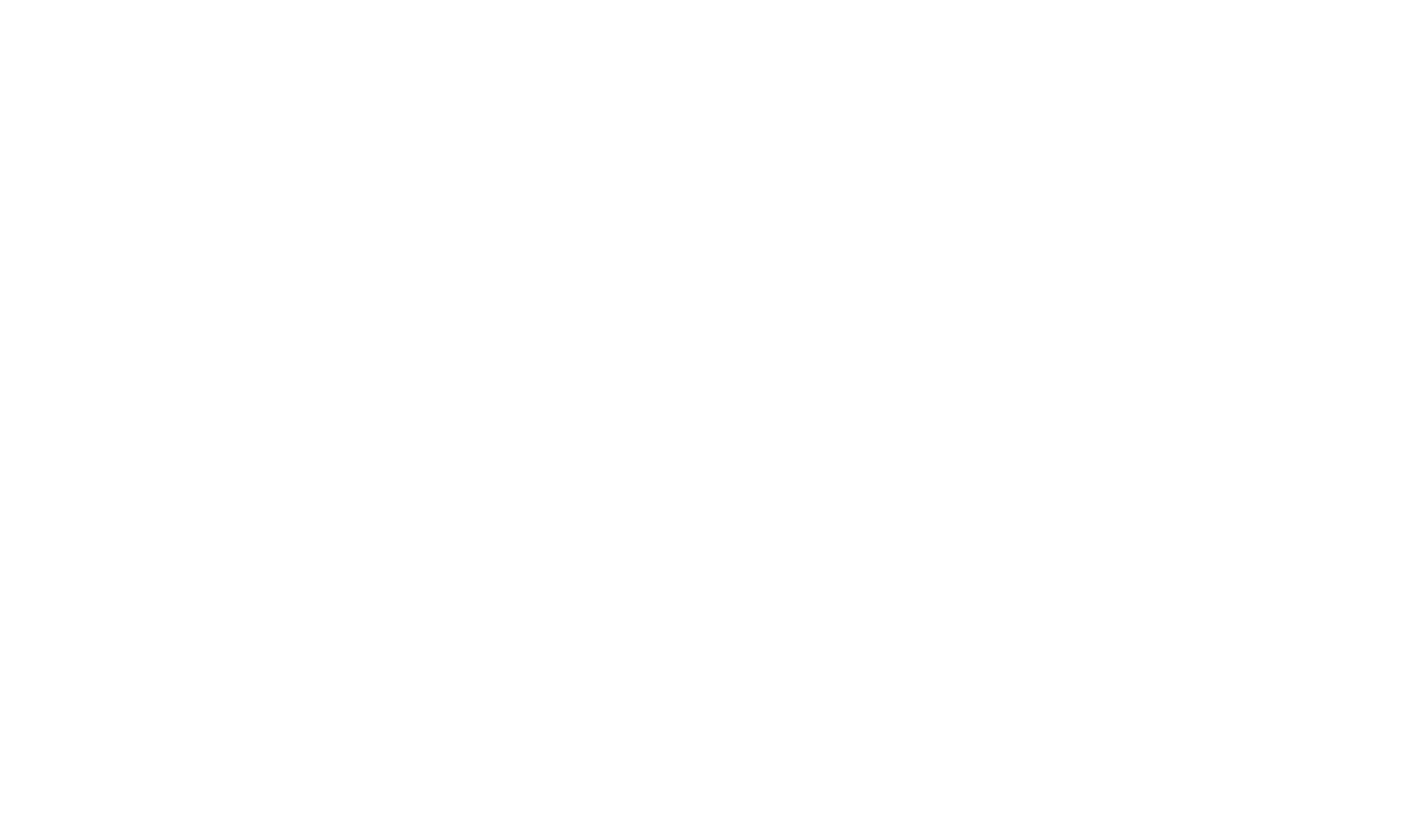 bischof berger