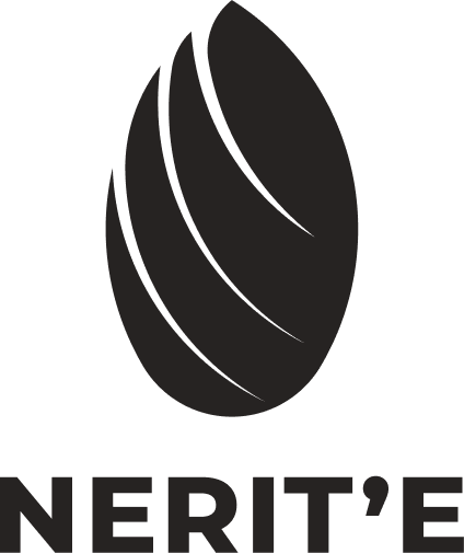 Startup Logo